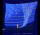 Turning the Pages of Eternity